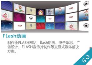 网络优化推广,宣传手册设计,3d虚拟互动,3d产品展厅,企业电子商务技术